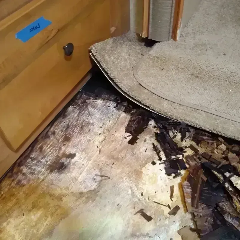 Wood Floor Water Damage in Medford Lakes, NJ